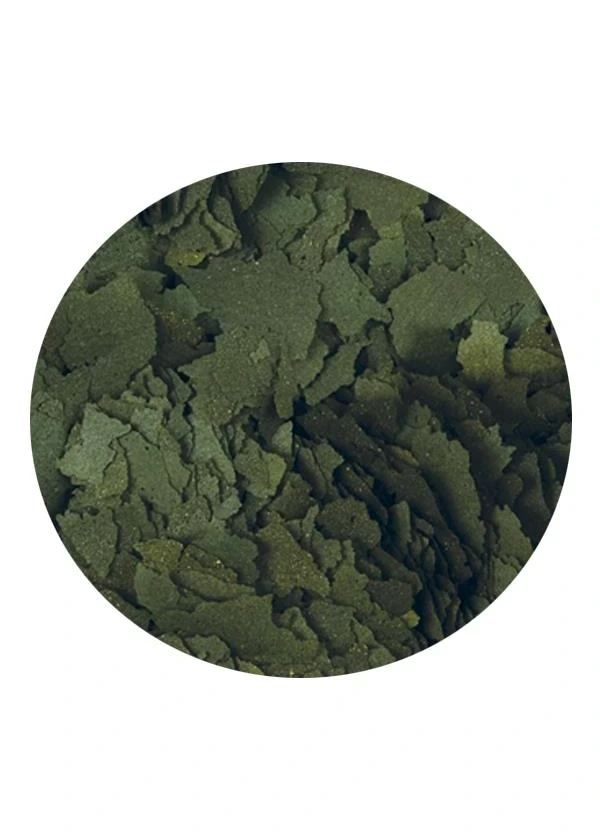 Tropical Super Spırulına Forte 36% Pul Yem 50 Gram Kovadan Bölme